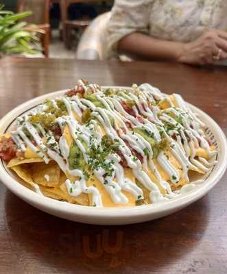 Elephant & Co. India