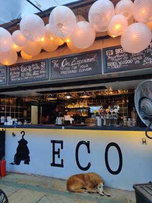 Elephant & Co. India