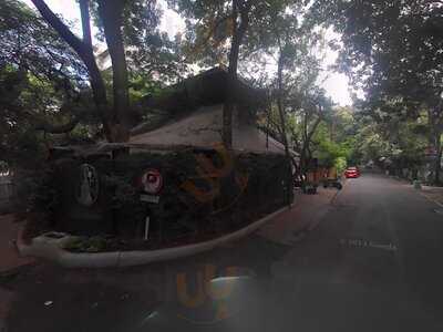 Elephant & Co. India