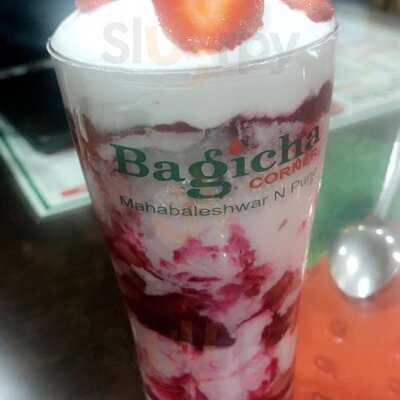 Bagicha Corner
