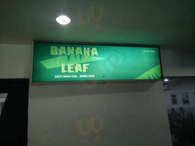 Banana Leaf