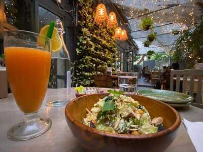 Chafa Cafe And Studio