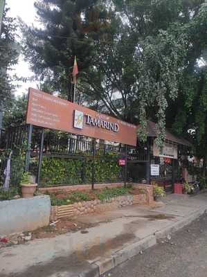 Tamarind