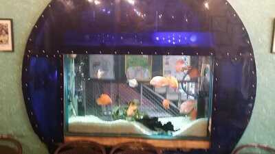 Bon Appetite The Cafe