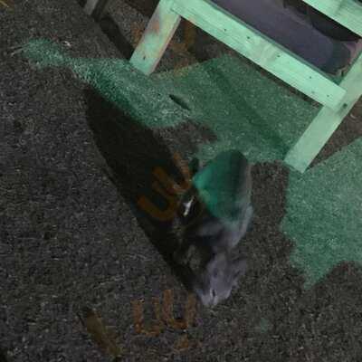 Sarovar A Multicuisine Restaurant