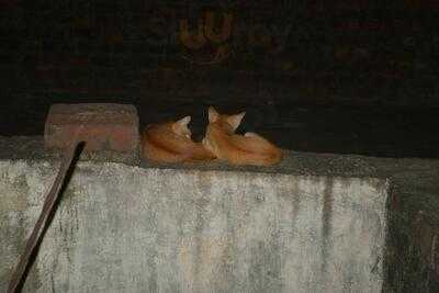 Amala Chettinadu Mess