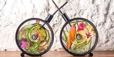 Bodega Cantina Y Bar