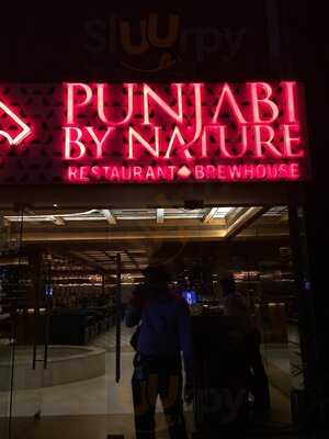 Punjabi By Nature