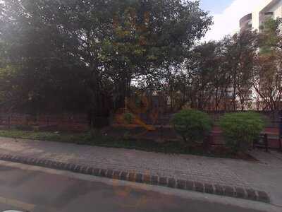 @m The World Cuisine Restaurant-cocoon