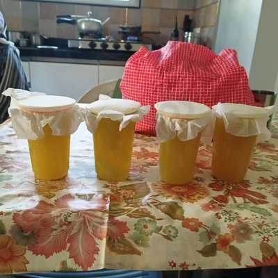 Cane Yard Sugarcane Juice Bar