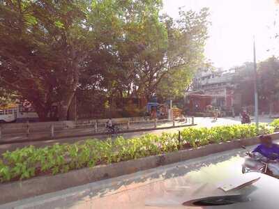 Bayleaf Otg (on The Go)