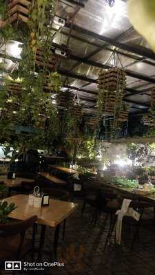 Lono - The Tropical Lounge