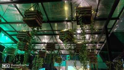 Lono - The Tropical Lounge