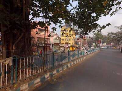 Buddha Bites Express