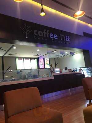 Coffee Tree