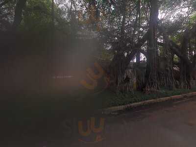 Skadoosh- Epic Momos & More