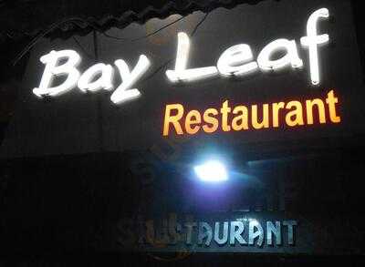 Bay Leaf