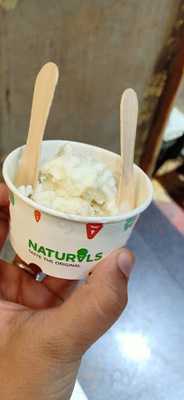 Natural Ice Cream