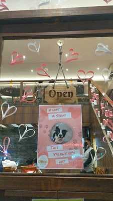 Gandharva Pure Veg Restaurant