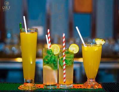 The Cult - Terra | House