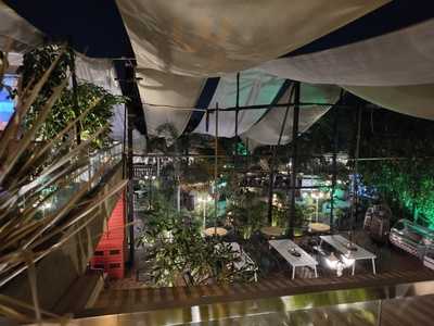 The Cult - Terra | House