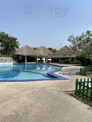 Chai - The Tea Lounge