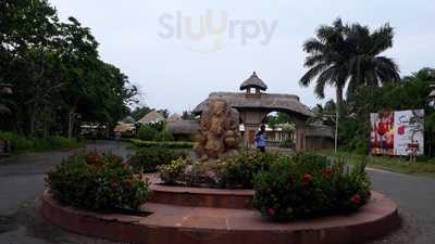 Chai - The Tea Lounge