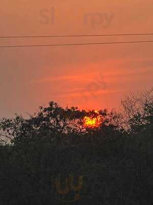 Savoury Family Restaurant