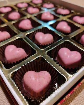 Zoroy Luxury Chocolates