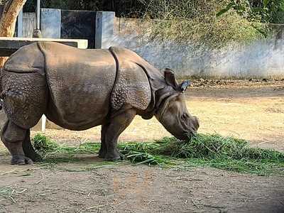 Ammas Kaimanam Chettinad Restarunt