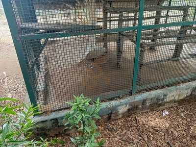 Ammas Kaimanam Chettinad Restarunt