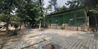 Ammas Kaimanam Chettinad Restarunt