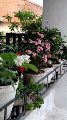 Tripti Fast Food Centre