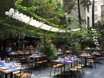 The Burger Bites Cafe