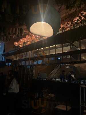 Elephant & Co. Baner