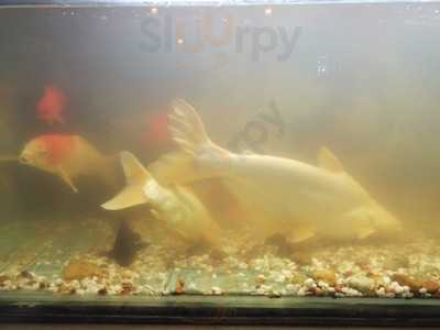 Hotel Amulya Restaurant