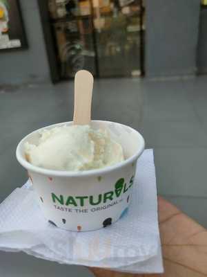 Natural Ice Cream