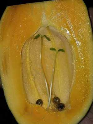 New Chandrama Lounge & Restaurant