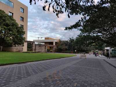 Dakshin Dawangiri Dosa