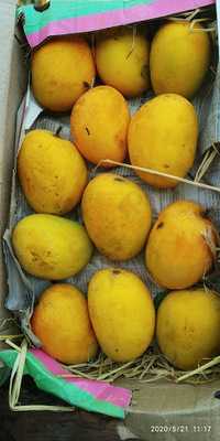 Bharat Garden Restaurant