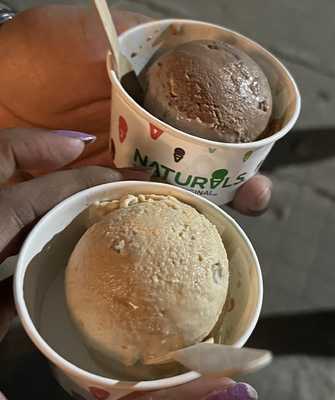 Swiss Naturals Ice Cream