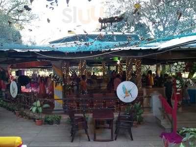 Gangotree - The Chat Parlour