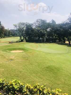 Gangotree - The Chat Parlour