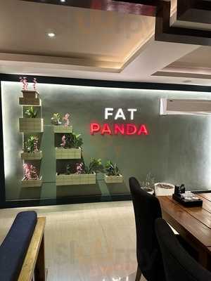 Fat Panda