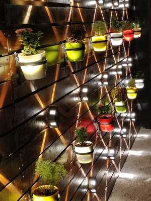 Raai Jeera - Veg & Desi Restaurant