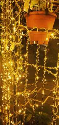 The Goose & Gridiron