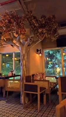 Kaitlyn's Beer Garden