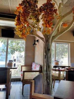 Kaitlyn's Beer Garden