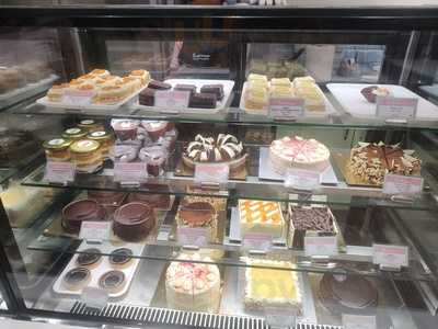 Theobroma