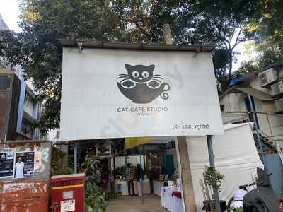 Cat Cafe Studio
